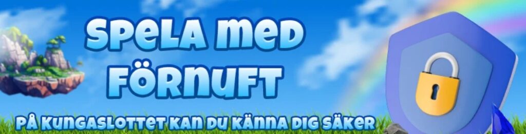 klar förståelse för ansvarsfullt spelande